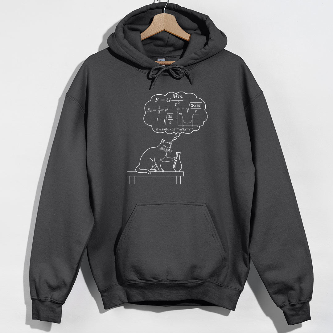 Physics Cat Gravity Equations Hoodie - Charcoal Hoodie
