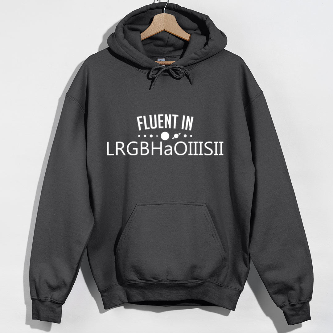 Fluent in LRGBHaOIIISII Hoodie - Charcoal Hoodie