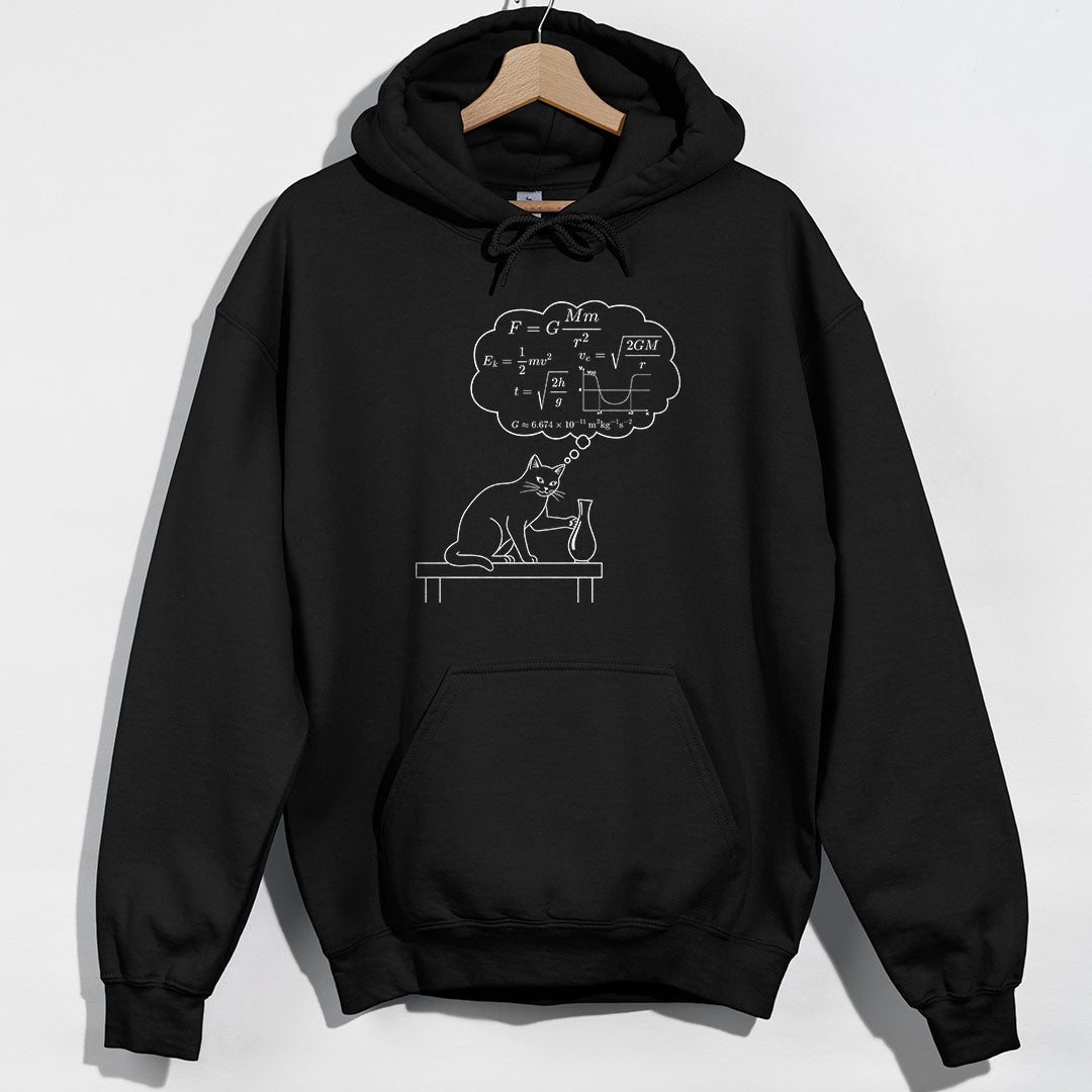 Physics Cat Gravity Equations Hoodie - Black Hoodie